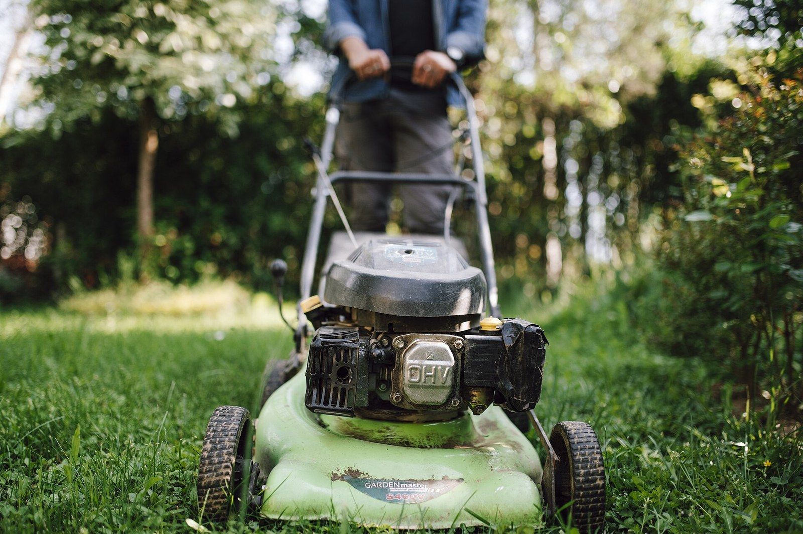 Hortikultura i održavanje okućnice u Puli i Istri